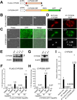 journal.pone.0339559.g001