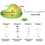 プレスリリース画像20260302